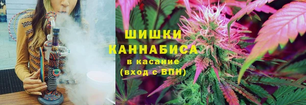 ALPHA PVP Покачи