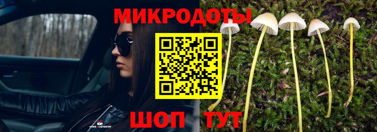 Галлюциногенные грибы Magic Shrooms  Галлюциногенные грибы прущие грибы  Вход с VPN  Североморск 