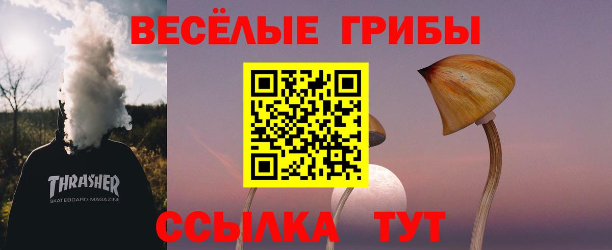 Псилоцибиновые грибы Cubensis Североморск